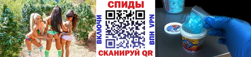 Первитин винт  Купить где  Грайворон 